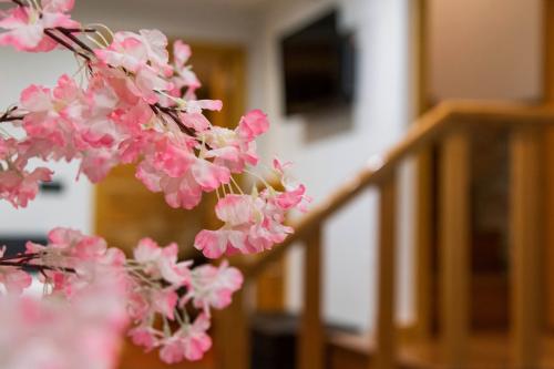 Casa-da-Fonte-T2 (36)