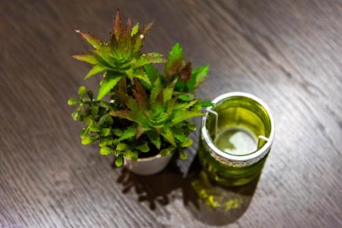 Casa-da-Fonte-T2 (48)